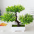 Plant Bonsai Plastic Small Tree